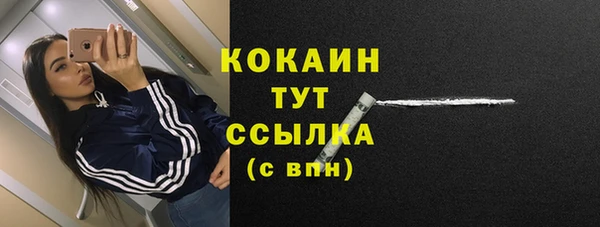 крисы Зеленокумск