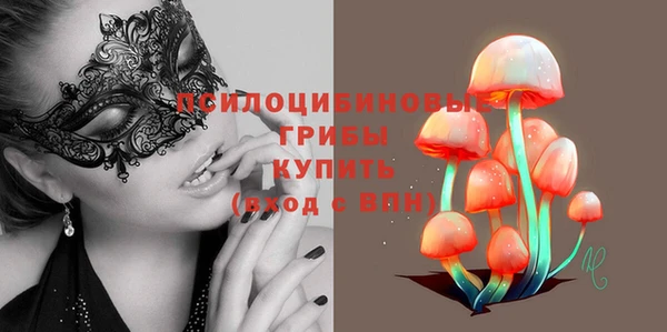 крисы Зеленокумск
