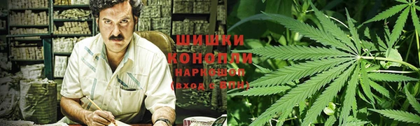 крисы Зеленокумск