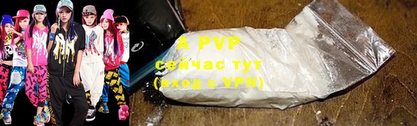 крисы Зеленокумск