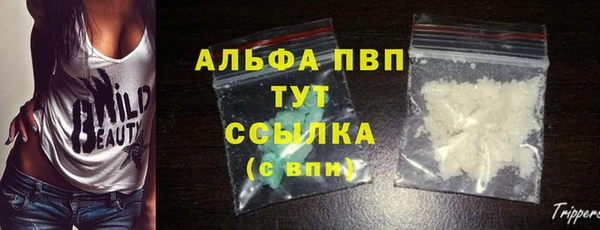 дживик Иннополис